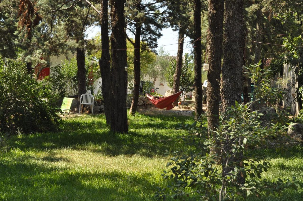 Villa Parco Alta Murgia Кассано-делле-Мурдже Экстерьер фото